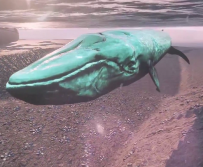NarvikWhale.PNG